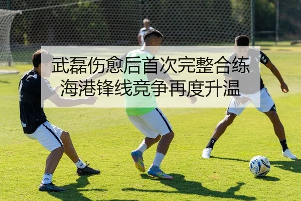 武磊伤愈后首次完整合练 海港锋线竞争再度升温